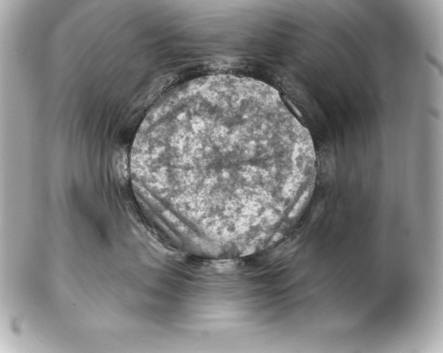 X0000102280479200808151932