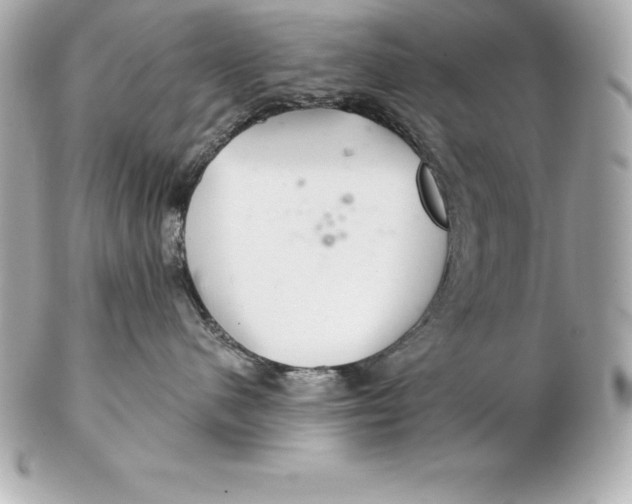 X0000102280480200808151932