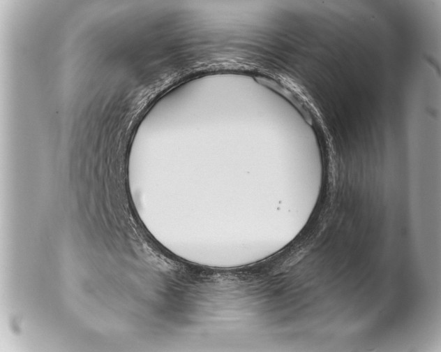 X0000102280481200808151932