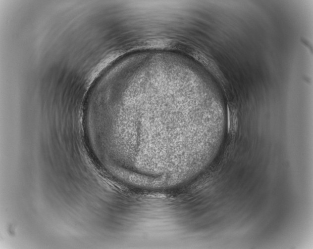 X0000102280483200808151932