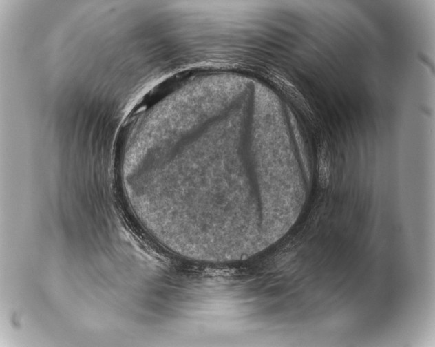 X0000102280484200808151932