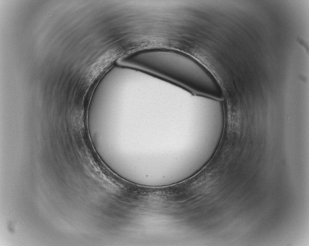 X0000102280485200808151932