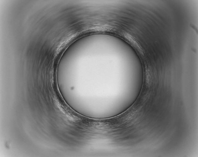 X0000102280486200808151932