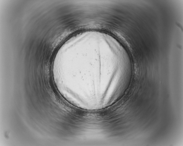 X0000102280487200808151932