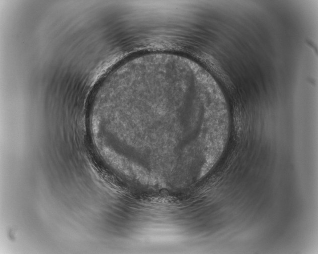 X0000102280488200808151932