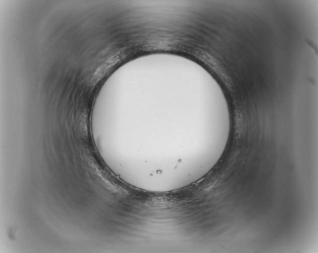 X0000102280489200808151931