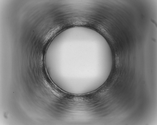 X0000102280490200808151931