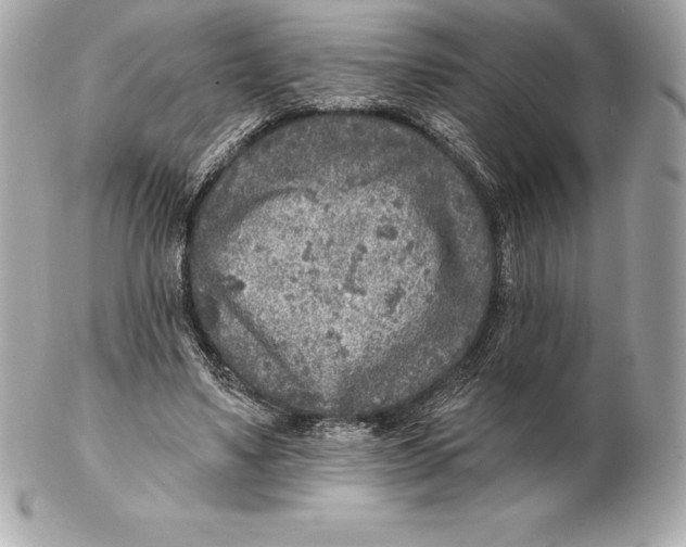 X0000102280491200808151931