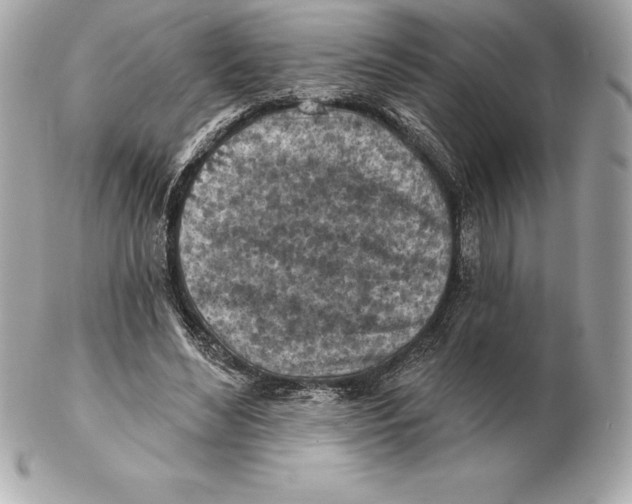 X0000102280492200808151931