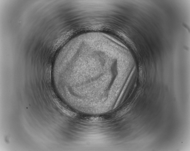 X0000102280493200808151931