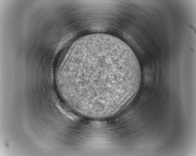 X0000102280494200808151931