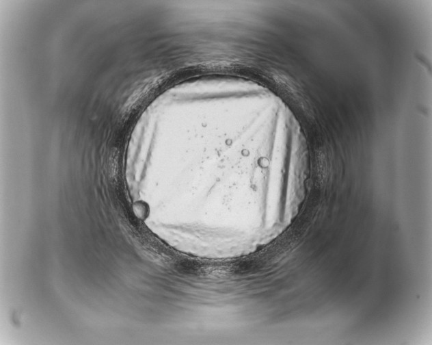 X0000102280495200808151931