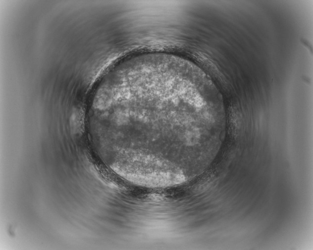 X0000102280496200808151931