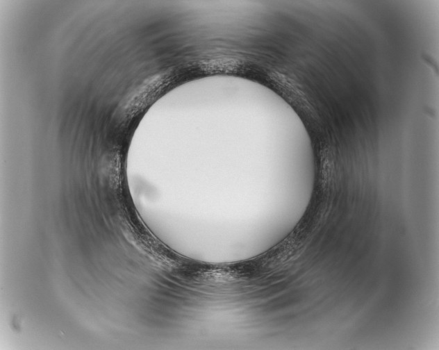 X0000102280498200808151931