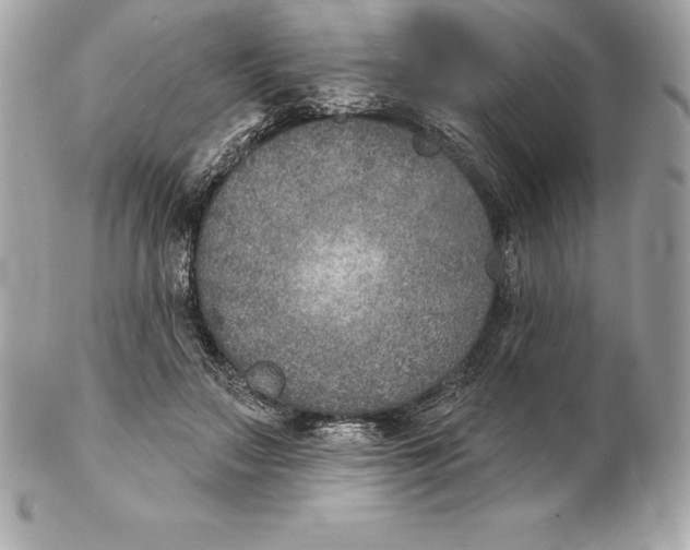 X0000102280499200808151931