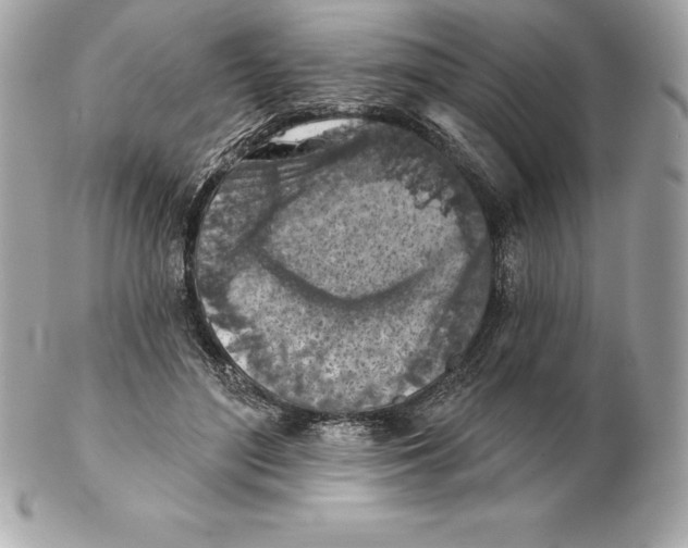 X0000102280500200808151931