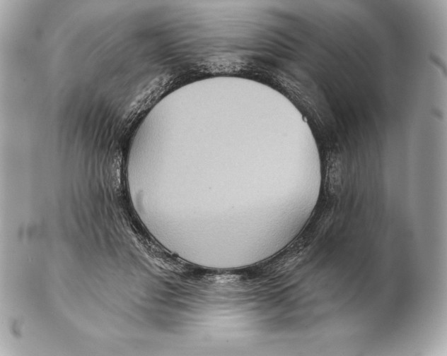 X0000102280501200808151931