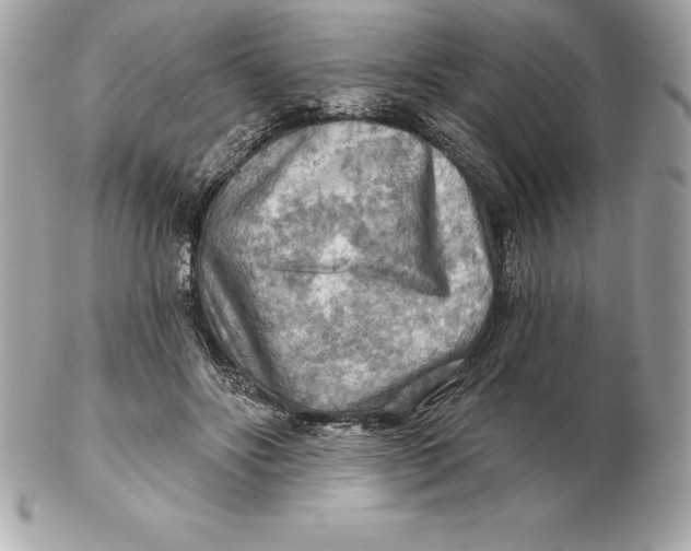 X0000102280502200808151931