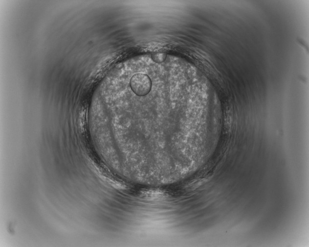 X0000102280503200808151931