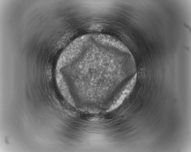 X0000102280504200808151931