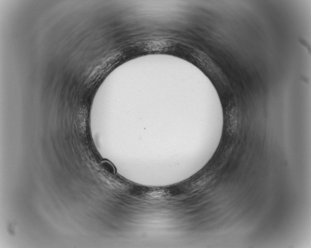 X0000102280505200808151931