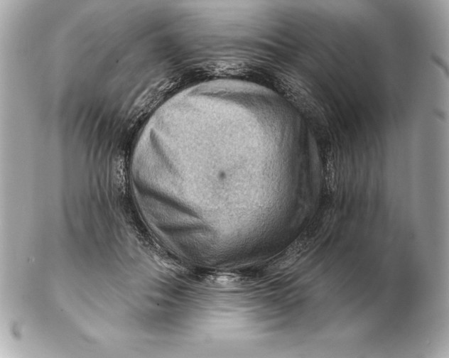 X0000102280506200808151931