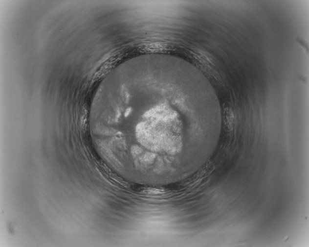 X0000102280507200808151931