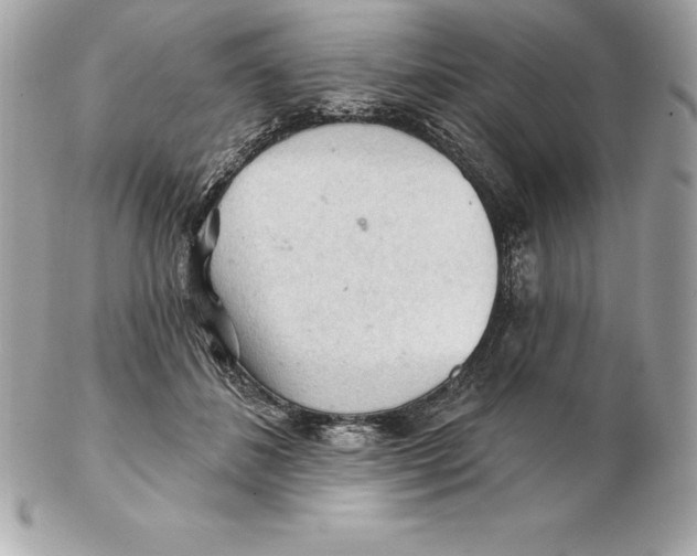 X0000102280508200808151931