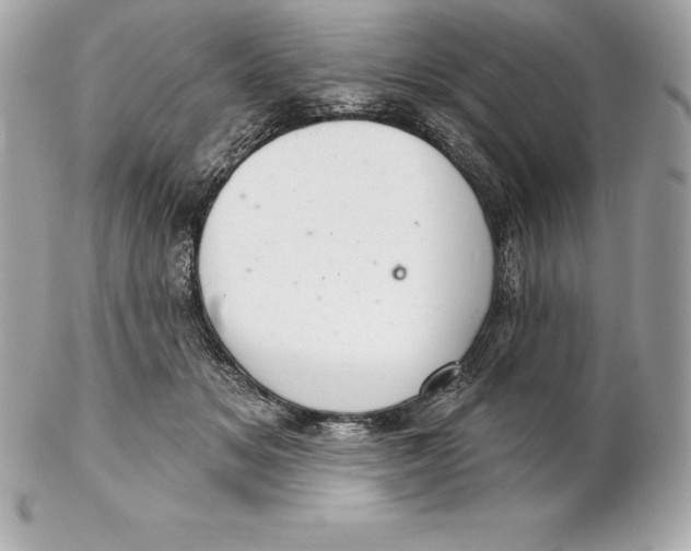 X0000102280509200808151931