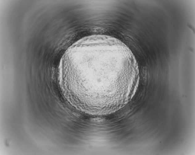 X0000102280511200808151931