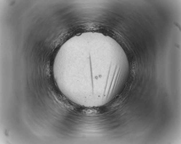 X0000102280512200808151931