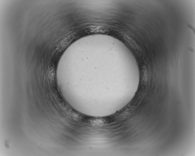 X0000102280513200808151931