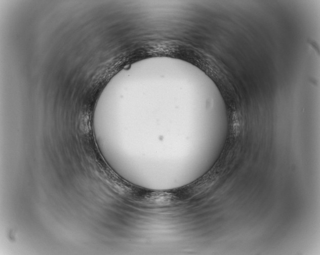 X0000102280514200808151931