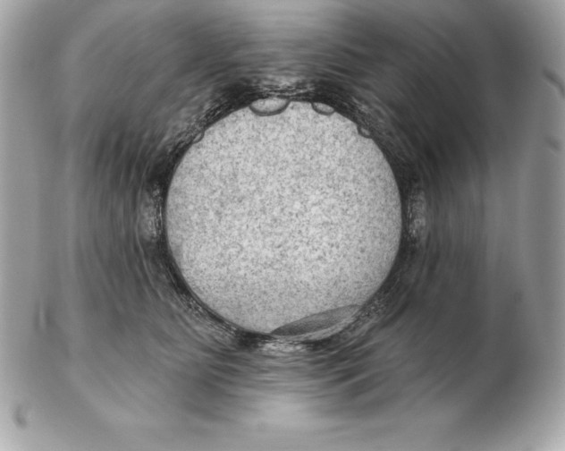 X0000102280515200808151931