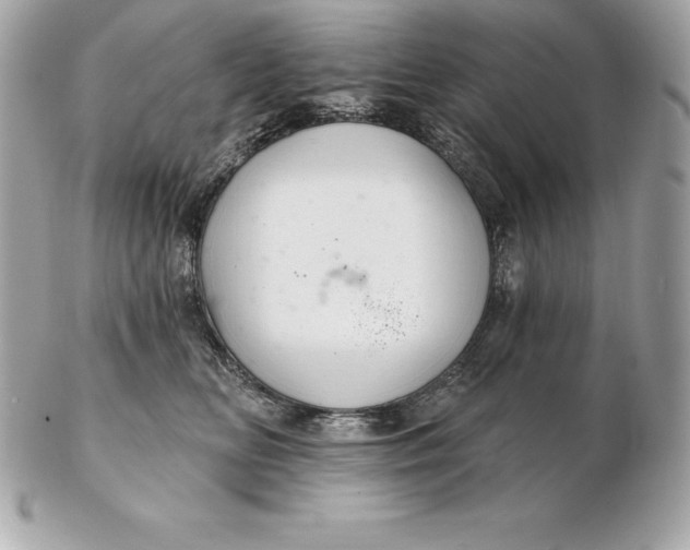 X0000102280518200808151931