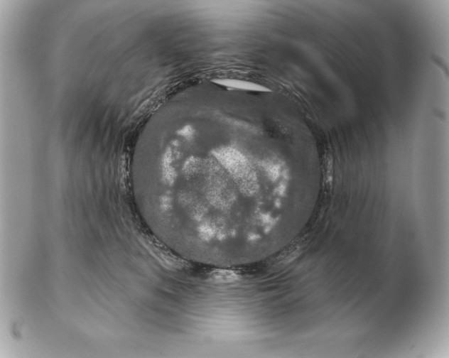 X0000102280519200808151931