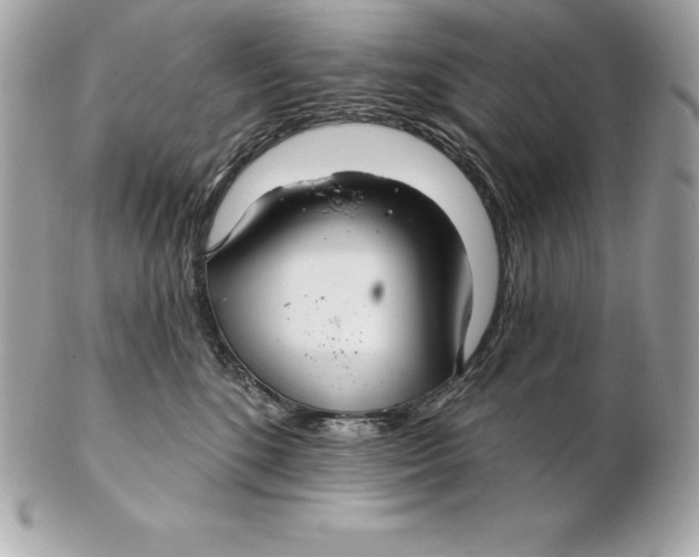 X0000102280520200808151931