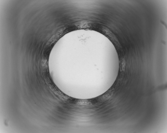 X0000102280521200808151931