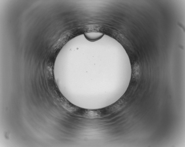 X0000102280522200808151931