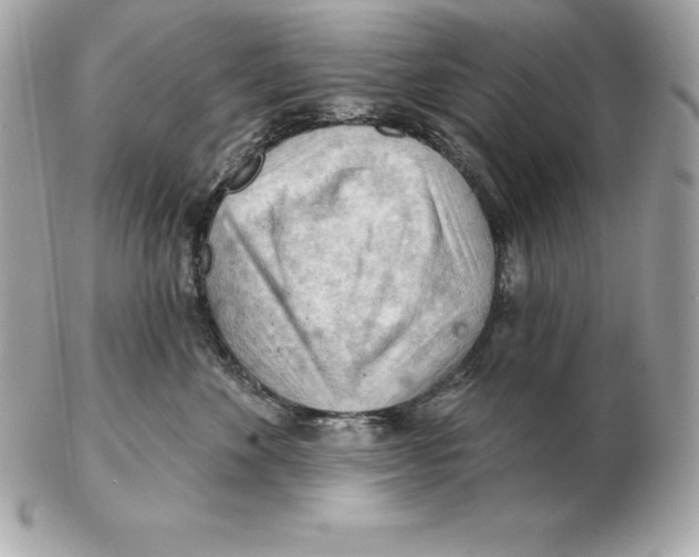 X0000102280524200808151931