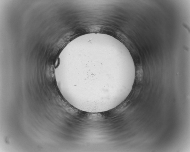 X0000102280525200808151931