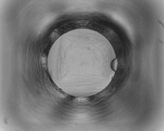 X0000102280526200808151931