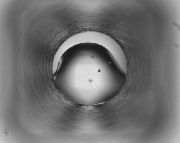 X0000102280528200808151931