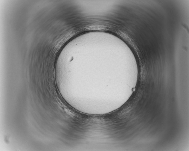 X0000102280529200808151930