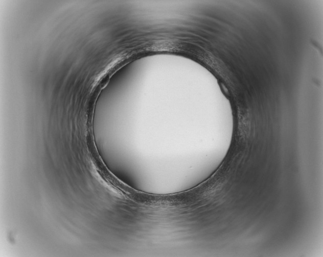 X0000102280530200808151930