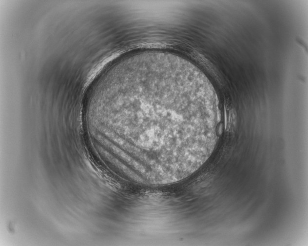 X0000102280531200808151930