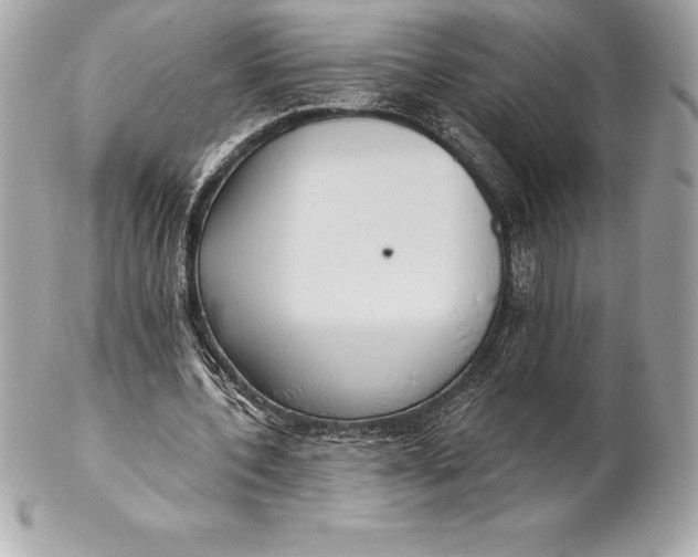 X0000102280532200808151930