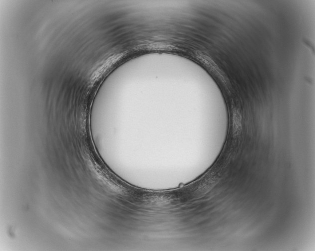 X0000102280533200808151930