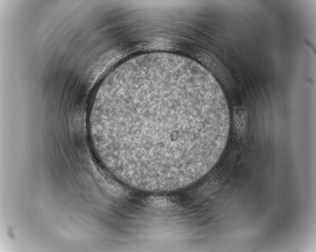 X0000102280534200808151930