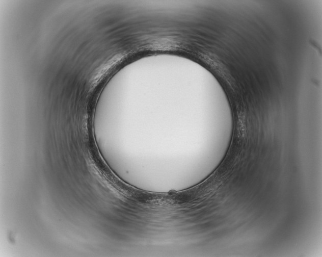 X0000102280535200808151930